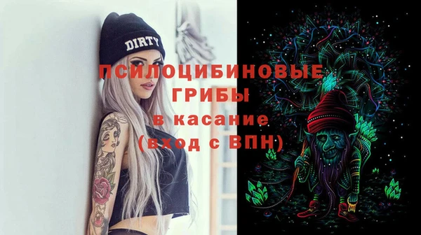 стафф Бородино